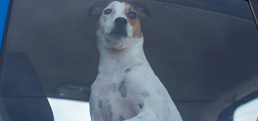 Car Lockout Solutions in La Ca, California